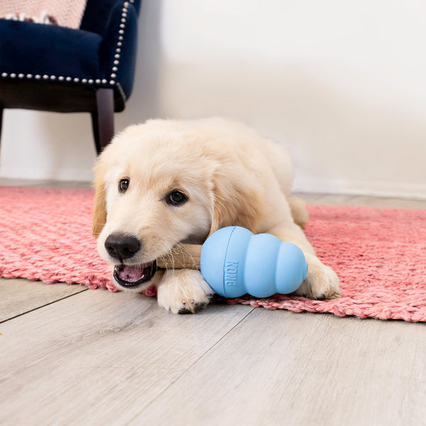 KONG Puppy Ziggies Enhanced Dental Dog Treats, additional view 2