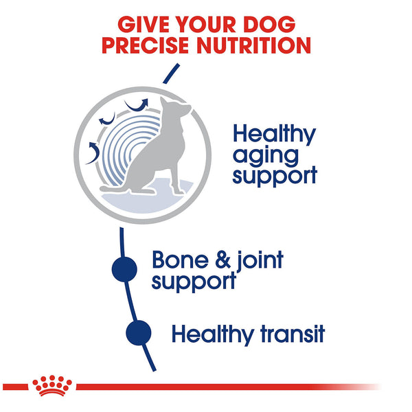 Royal Canin Large Aging 8+ Dry Dog Food, additional view 1