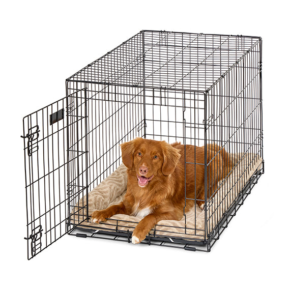 MidWest QuietTime Deluxe Wave Pet Bed, additional view 2