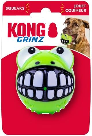 KONG Grinz Frog Dog Toy