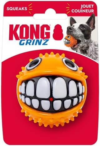 KONG Grinz Puffer Fish Dog Toy