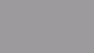 Coastal Natural Control Training Collar, Grey, additional view 1