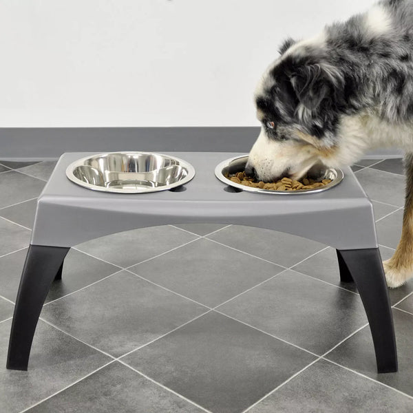 Coastal Maslow Elevated Dog Feeder, additional view 1