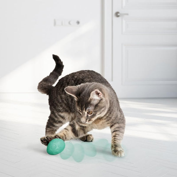 Kong Catnip Infused 2-Pack Egg Cat Toys