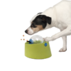 Ethical Seek-A-Treat Puzzle Ball Dog Toy