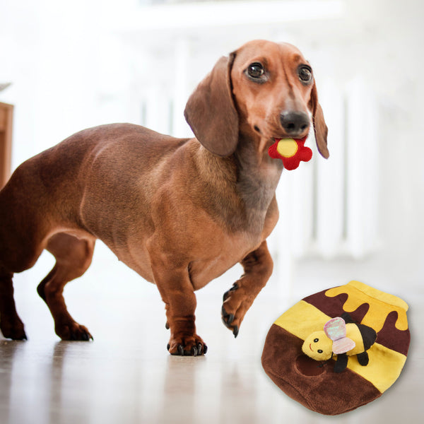 SPOT Crinkler Fabric Puzzle Dog Toy, 11 in, additional view 1