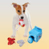 Ethical Pet Wash Day Puzzle Dog Toy