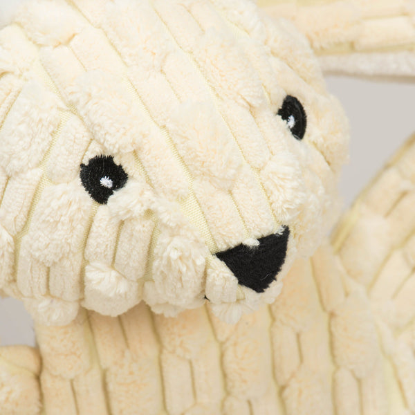 Huggle Hounds HuggleFlatties Durable Plush Dog Toy, additional view 4