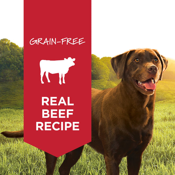 Instinct Original Wet Food Real Beef Recipe Wet Dog Food