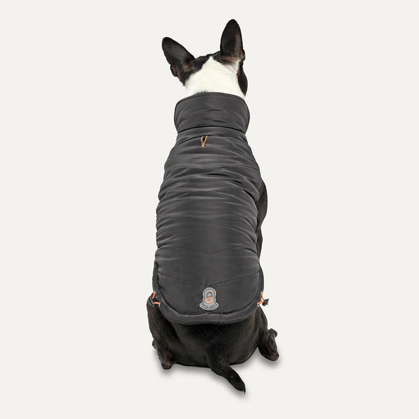 Goo-Eez Black Mock Neck Signature Jacket