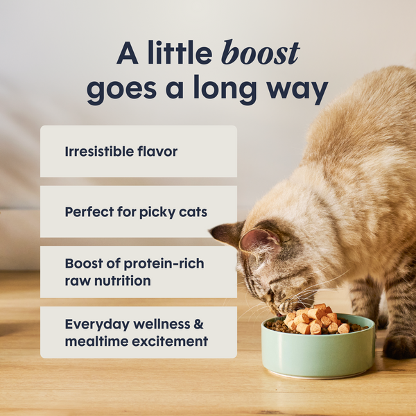 Instinct RawBoost+ Mixers Digestive Health Recipe Cat Food Topper