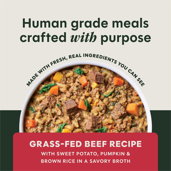 Instinct Freshly Crafted Meals Grass-Fed Beef Recipe Wet Dog Food