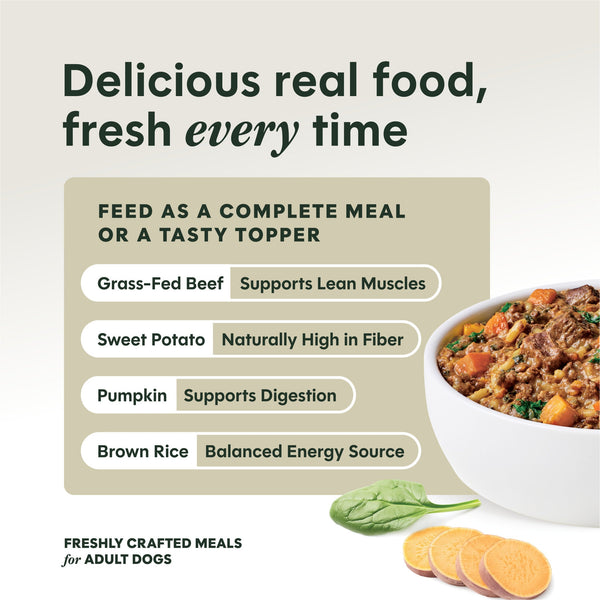 Instinct Freshly Crafted Meals Grass-Fed Beef Recipe Wet Dog Food