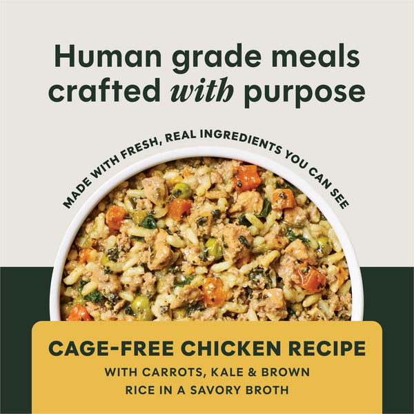 Instinct Freshly Crafted Meals Cage-Free Chicken Recipe Wet Dog Food