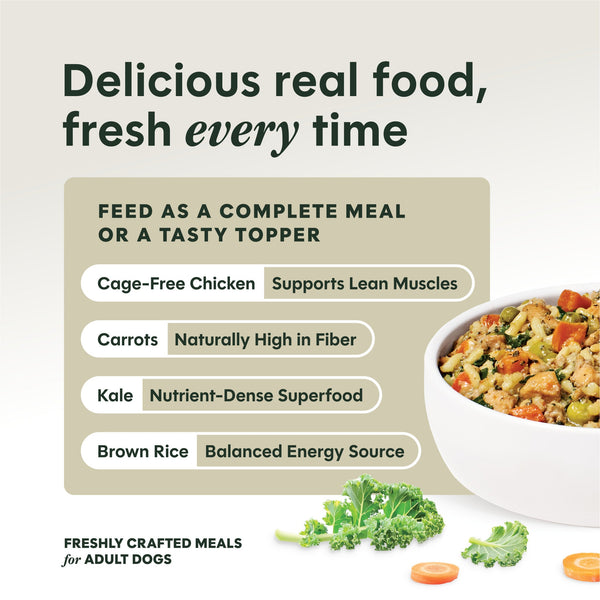Instinct Freshly Crafted Meals Cage-Free Chicken Recipe Wet Dog Food