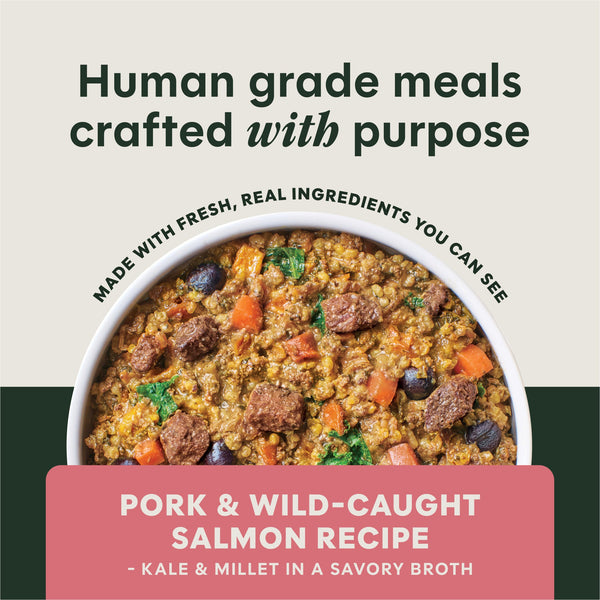 Instinct Freshly Crafted Meals Pork & Wild-Caught Salmon Recipe Wet Dog Food