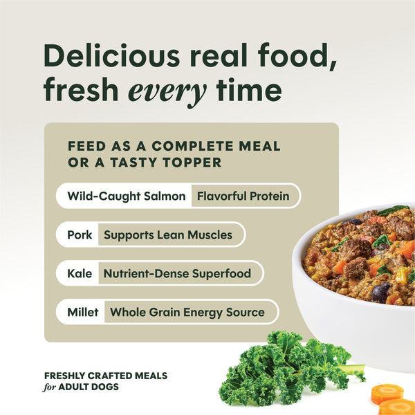 Instinct Freshly Crafted Meals Pork & Wild-Caught Salmon Recipe Wet Dog Food