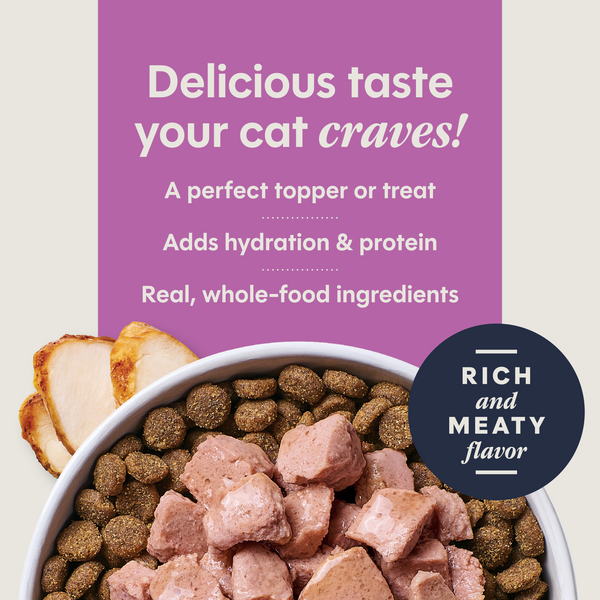 Instinct Healthy Cravings Toppers Real Rabbit Recipe Cat Food Topper