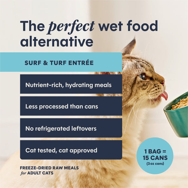 Instinct FreshDried Patés Surf & Turf Recipe Freeze-Dried Cat Food