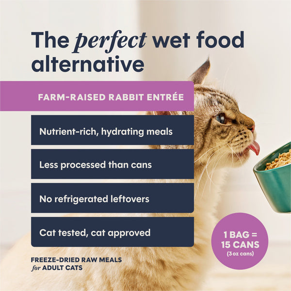 Instinct FreshDried Pate Rabbit Recipe Cat Food, additional view 1