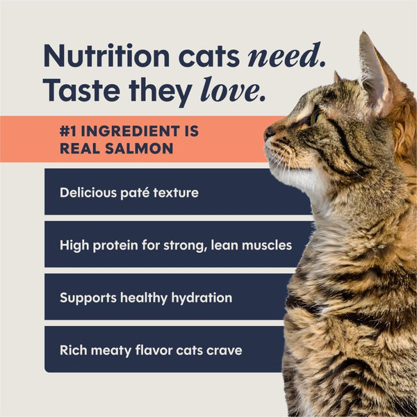 Instinct Pate Split Cup Grain Free - Real Salmon Entrée Wet Cat Food