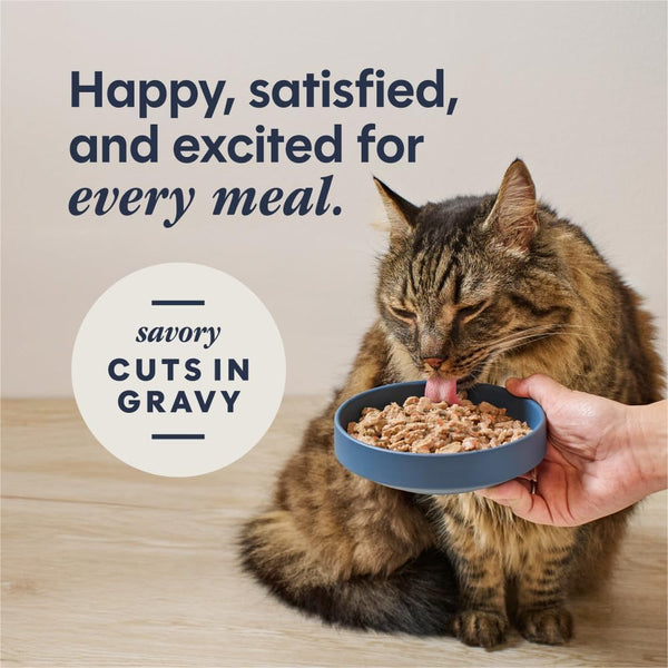 Instinct Flaked Split Cup Grain Free - Real Chicken Entrée Wet Cat Food