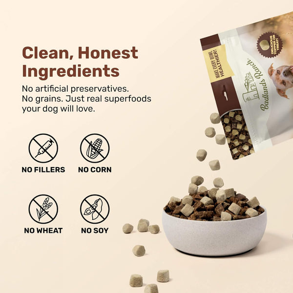 Badlands Ranch Superfood Nuggets Duck & Kale Freeze Dried Dog Treats or Topper