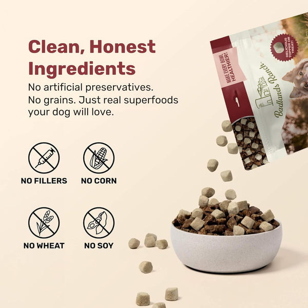 Badlands Ranch Superfood Nuggets Bison & Kale Freeze Dried Dog Treats or Topper