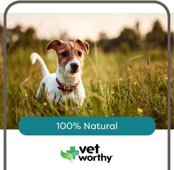 Vet Worthy Potty Rocks