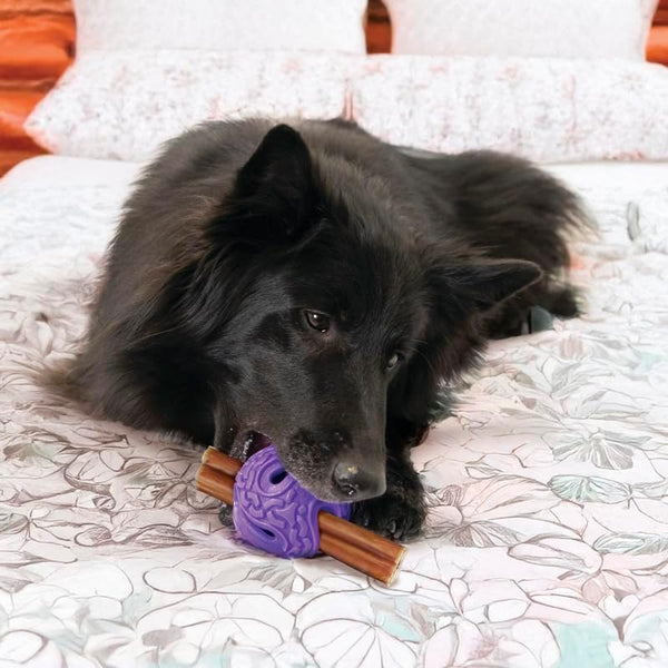 Kong Squeezz Flex Ball Dog Toy