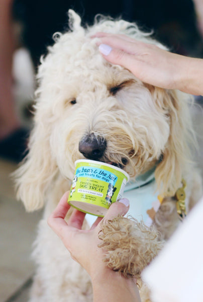 The Bear and the Rat Frozen Yogurt Bacon & Peanut Butter Dog Treats, additional view 1