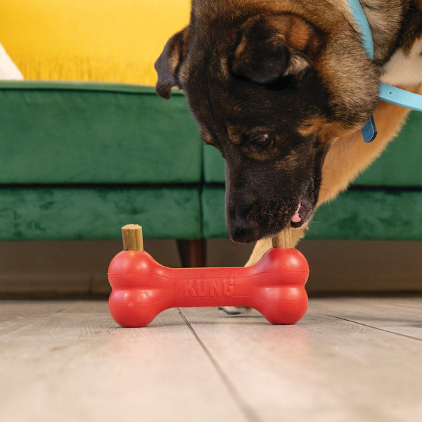 KONG Ziggies Enhanced Dental Dog Treats, additional view 2