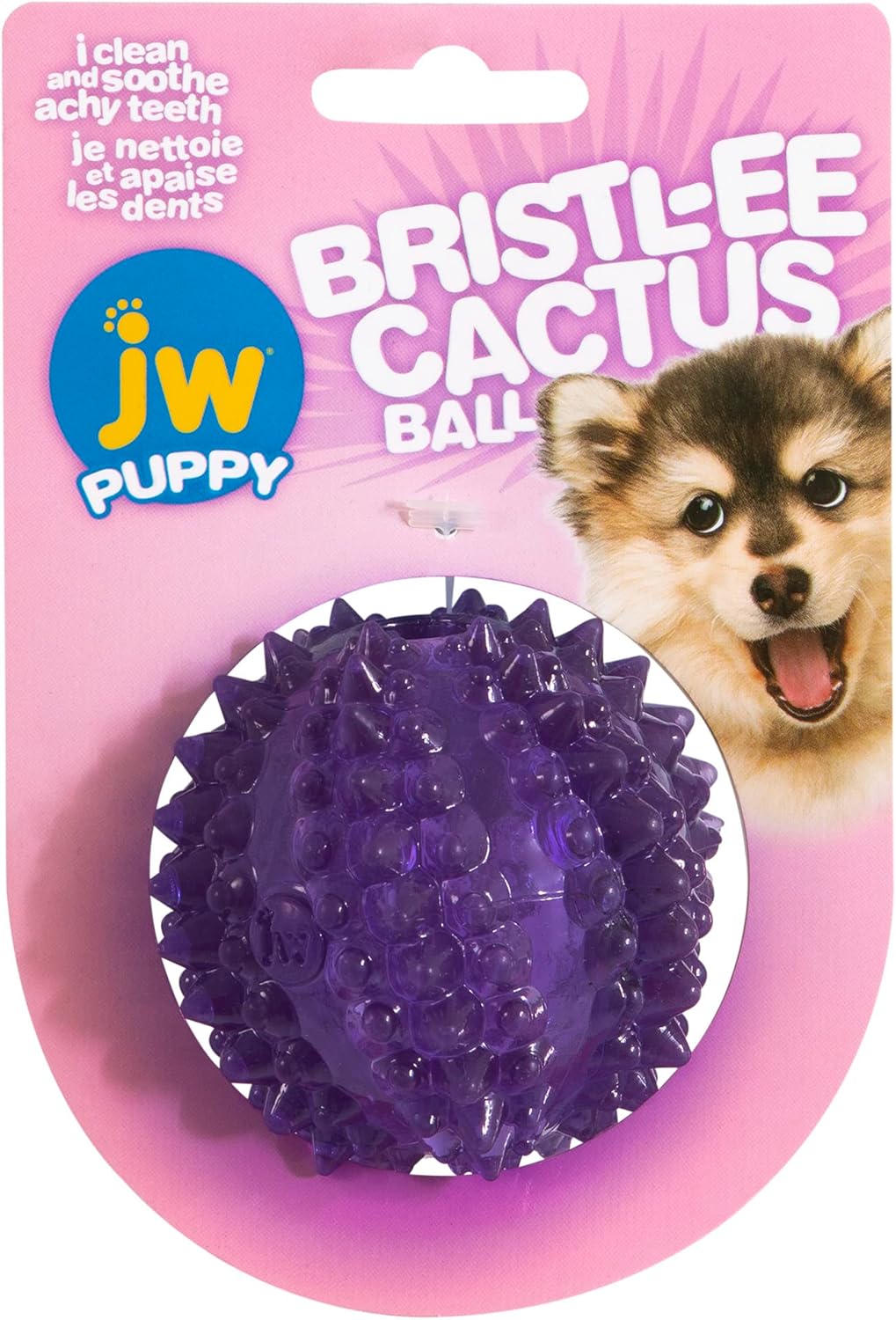 JW Pet Bristlee Cactus Ball