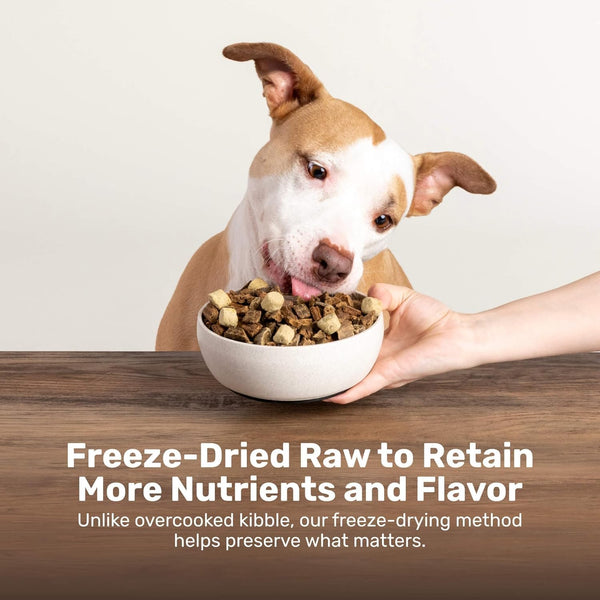 Badlands Ranch Superfood Nuggets Duck & Kale Freeze Dried Dog Treats or Topper