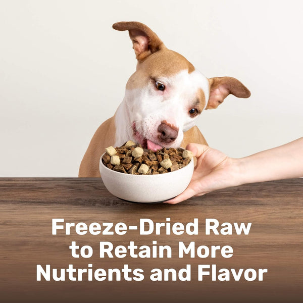 Badlands Ranch Superfood Nuggets Beef Tripe & Kale Freeze Dried Dog Treats or Topper