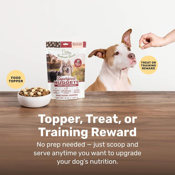 Badlands Ranch Superfood Nuggets Bison & Kale Freeze Dried Dog Treats or Topper