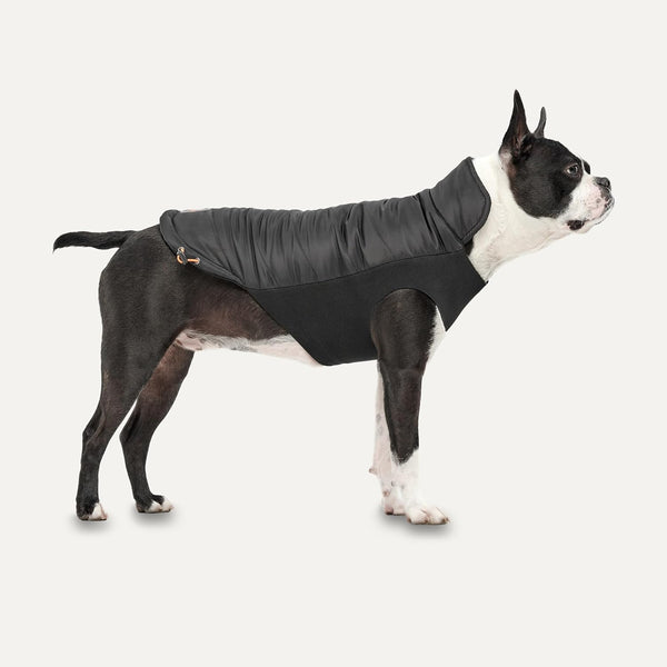 Goo-Eez Black Mock Neck Signature Jacket