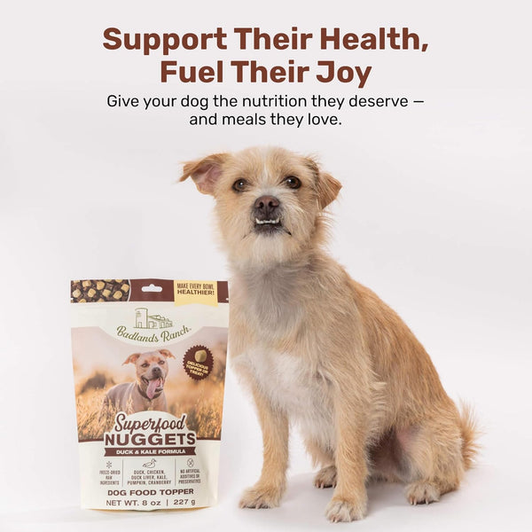 Badlands Ranch Superfood Nuggets Duck & Kale Freeze Dried Dog Treats or Topper
