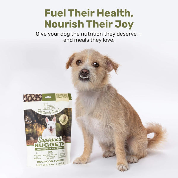 Badlands Ranch Superfood Nuggets Beef Tripe & Kale Freeze Dried Dog Treats or Topper