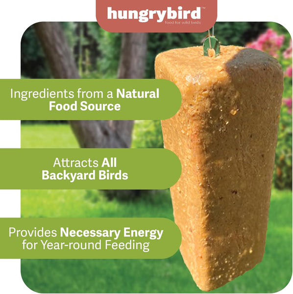 HungryBird NaturAll Non-GMO, High-Protein Suet Bar with Hot Pepper Filling for Outside Wild Birds