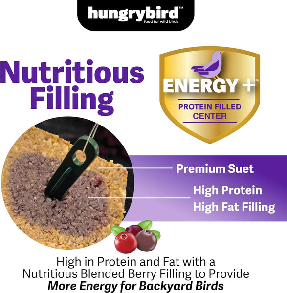 HungryBird Energy+ High-Protein Suet Bar with Blended Berry Filling for Outside Wild Birds