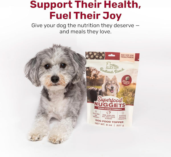 Badlands Ranch Superfood Nuggets Bison & Kale Freeze Dried Dog Treats or Topper