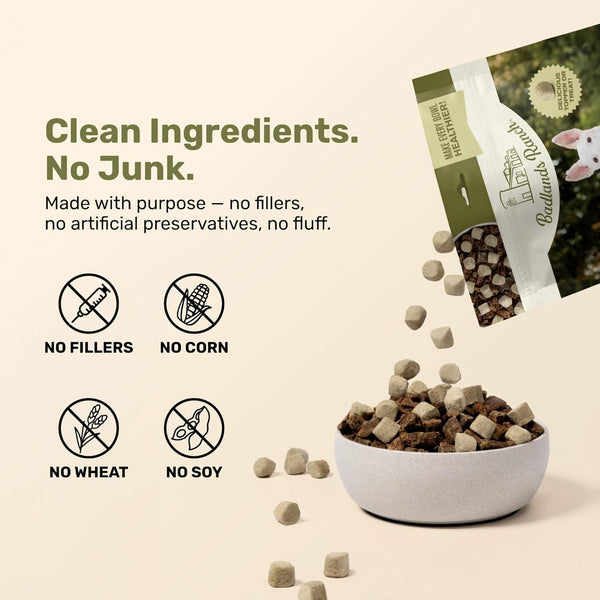 Badlands Ranch Superfood Nuggets Beef Tripe & Kale Freeze Dried Dog Treats or Topper