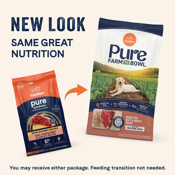 Canidae PURE with Wholesome Grains, Limited Ingredient Dry Dog Food, Beef and Barley