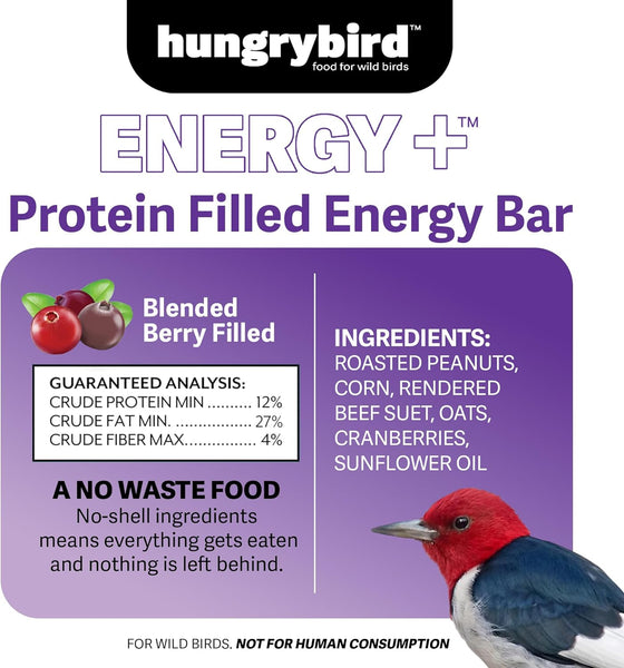 HungryBird Energy+ High-Protein Suet Bar with Blended Berry Filling for Outside Wild Birds