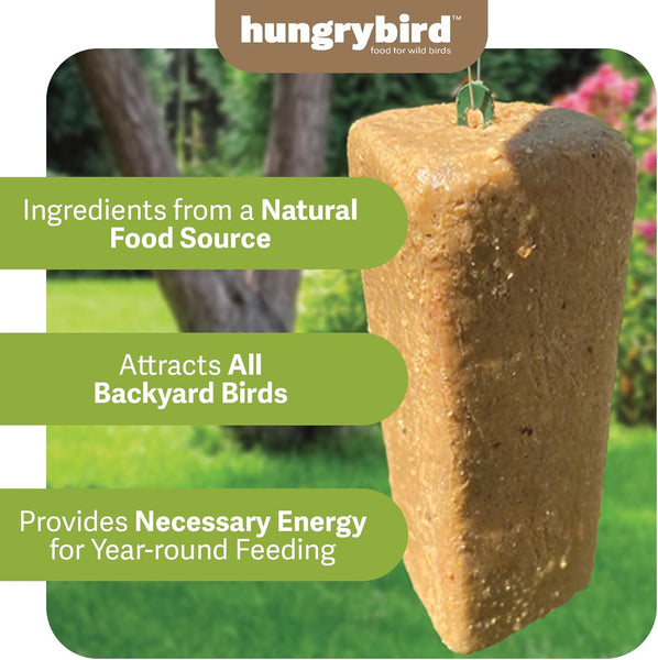 HungryBird NaturAll Non-GMO, High-Protein Suet Bar with Peanut Butter Filling for Outside Wild Birds