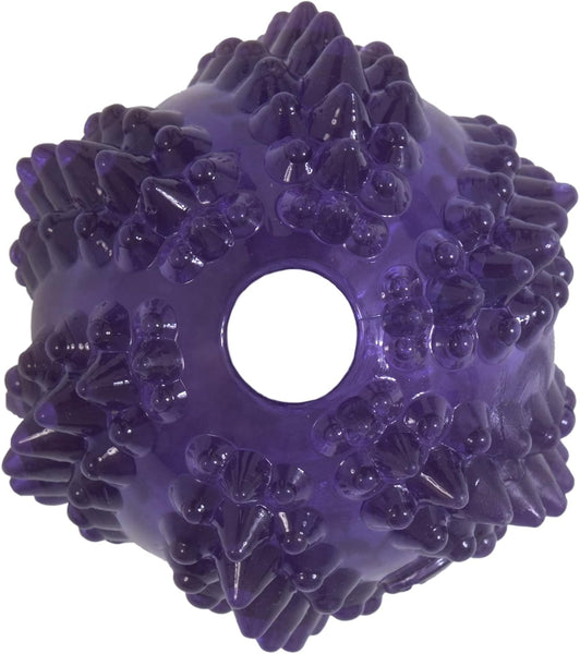 JW Pet Bristlee Cactus Ball