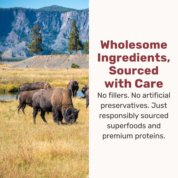 Badlands Ranch Superfood Nuggets Bison & Kale Freeze Dried Dog Treats or Topper