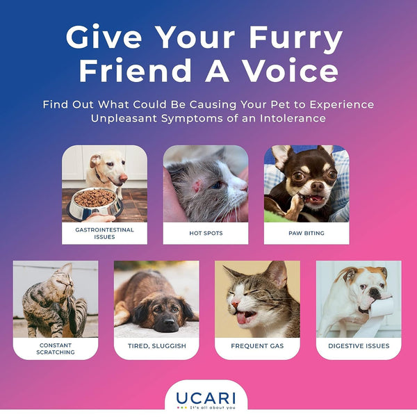 UCARI Pet Intolerance Test Kit