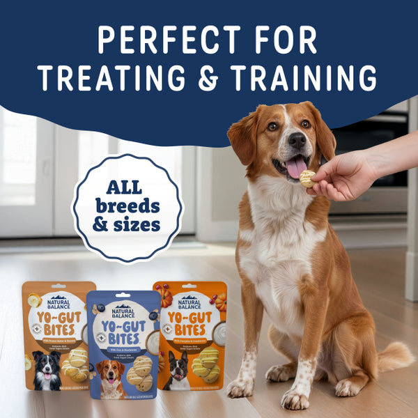 Natural Balance Yo-Gut Bites Dog Treats, additional view 3